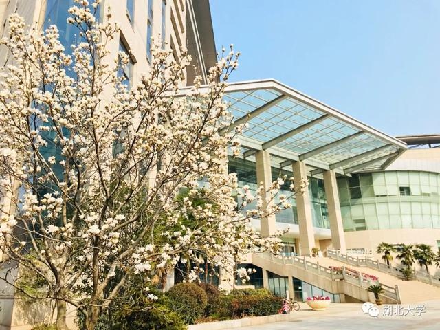 国产亚洲精品久久久久久久_无码AV免费精品一区二区三区_99久久久无码国产精品免费人妻_精品人妻无码一区二区三区在线_无码专区久久综合久综合字幕_久久精品国产一区二区三区四区_真实一级一级一片免费视频_特级精品毛片免费观看_国产成人无码AA片免费看校长谢红星在学生班会上的特别寄语：热爱生活，珍爱生命